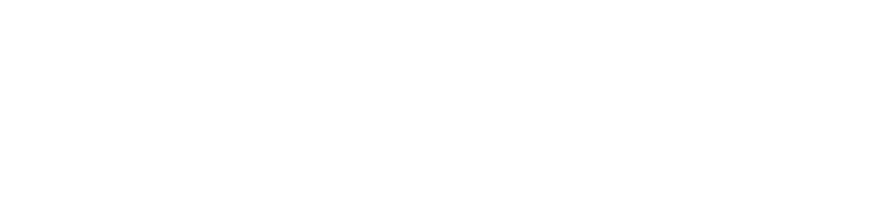The Cleaning Business