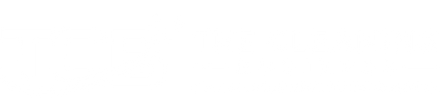 The Cleaning Business